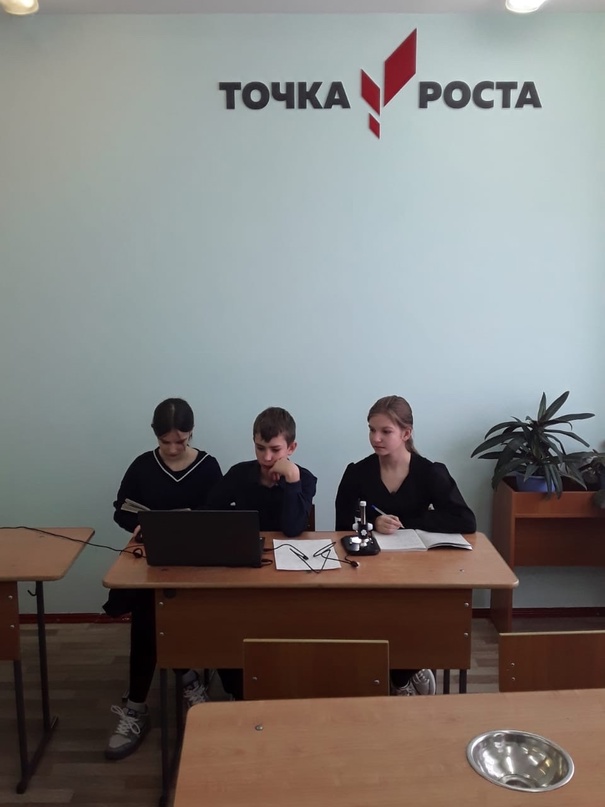 Знакомство с особенностями строения дождевого червя.